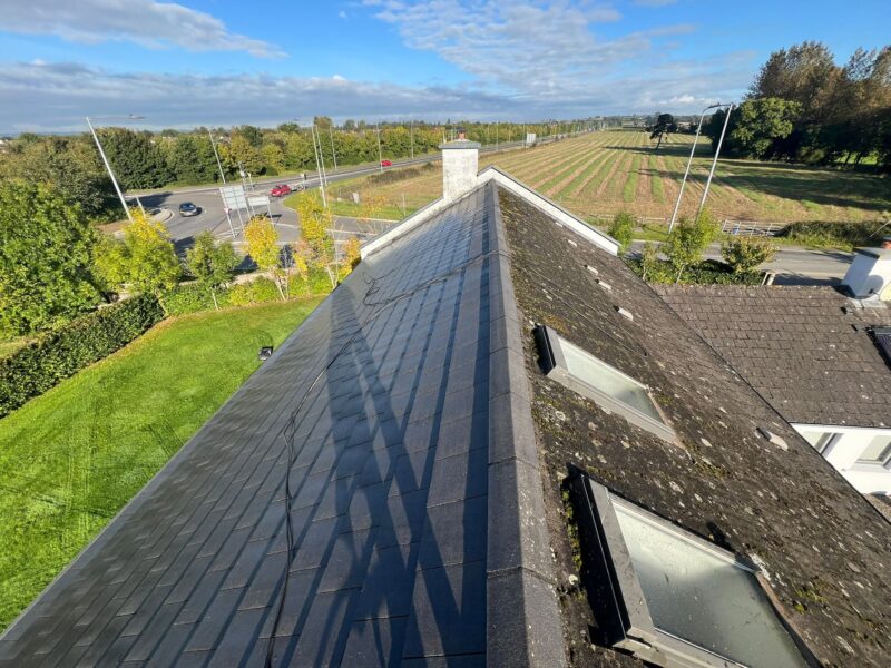 Roof Moss & Algae Treatments