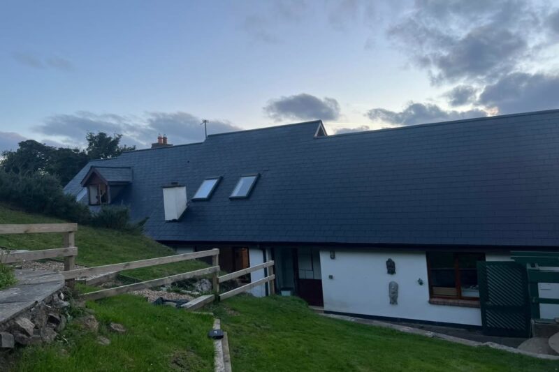 Roof Painting & Coating