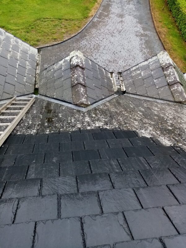 Roof Painting & Coating