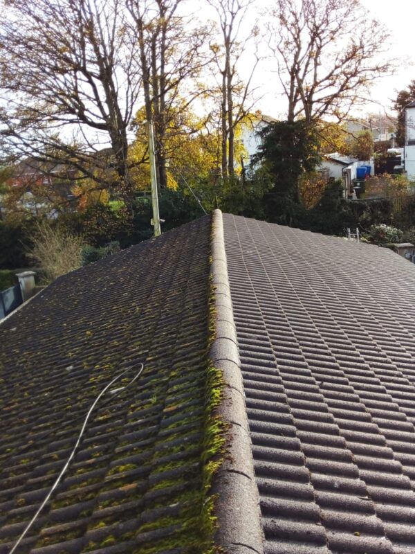 Roof Restoration